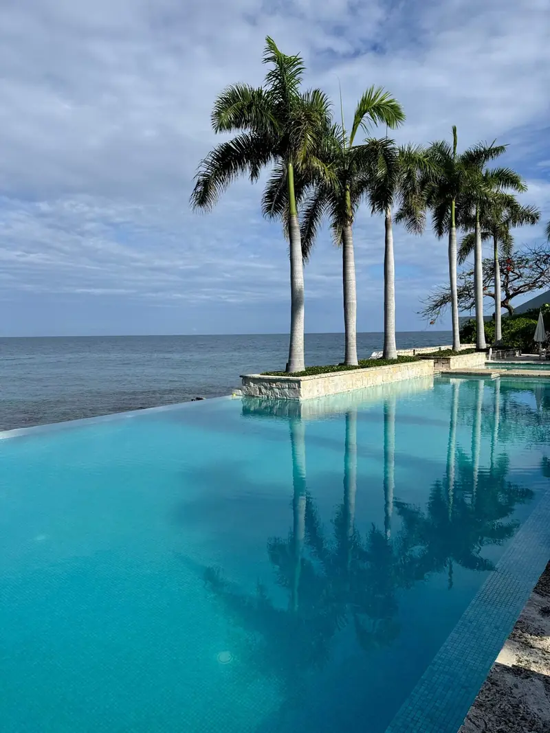 Infinity pool with palm trees overlooking the ocean